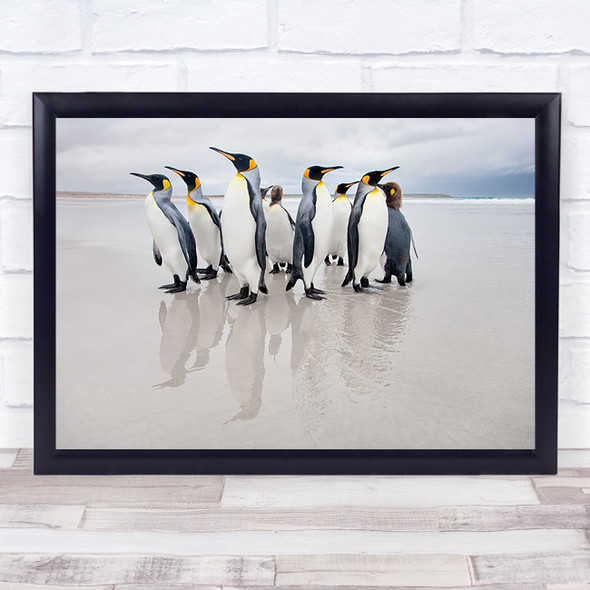 Bodyguard Nature Animal Penguin Wildlife Reflection Mirror Beach Beak Art Print