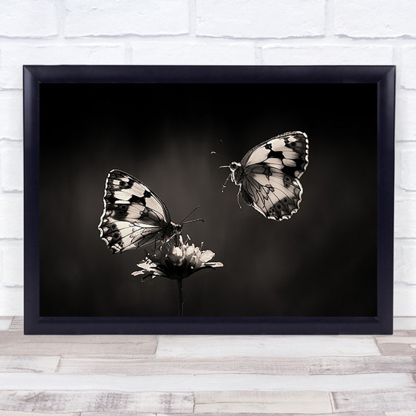 Butterfly Insect Nature Flower Butterflies Spain Sepia Couple Art Print