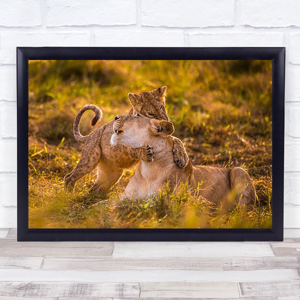 Charm Lioness Lion Nature Wildlife Kenya Hug Embrace Cub Cute Wall Art Print