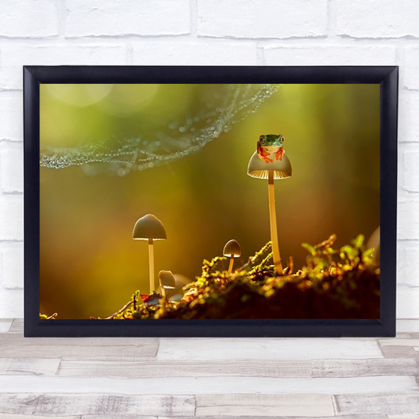 Chill Mushrooms Spiderweb Tree Frog Frogs Animal Animals Wall Art Print