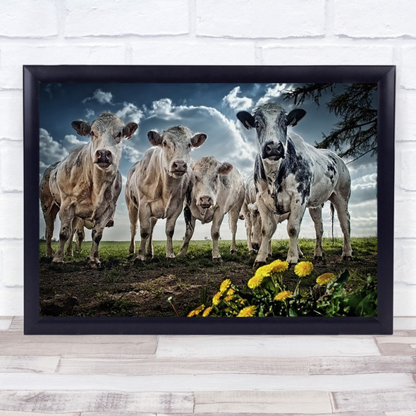 Cow Cows Rural Dandelion Sky Colour Belgium Ardennes Wall Art Print