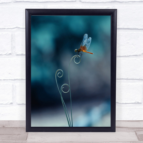 dragonfly Bokeh Gold Golden Wall Art Print