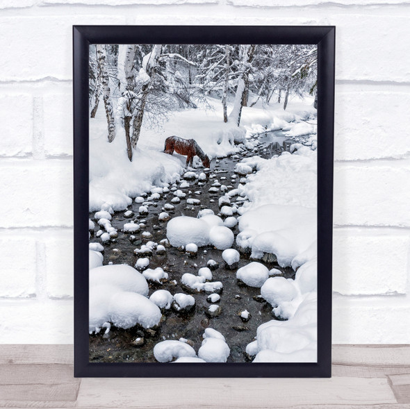 Drinking In Snow Horse Animal Animals Winter Cold Water Stream Wall Art Print