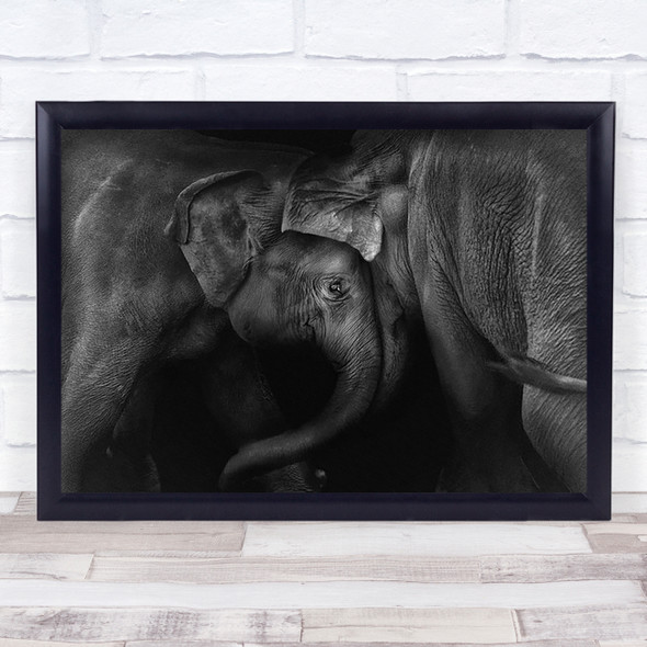 Elephant 2 Elephants Animal Animals Sri Lanka Cute Wall Art Print