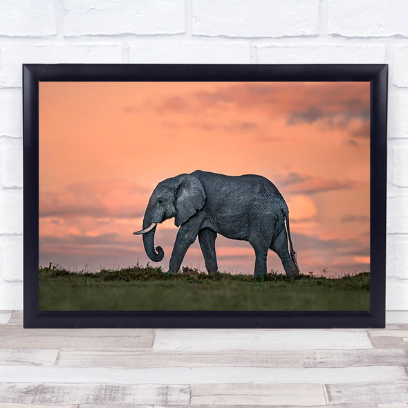 Elephant at dusk Savannah Plains Wildlife Nature Animals Wall Art Print