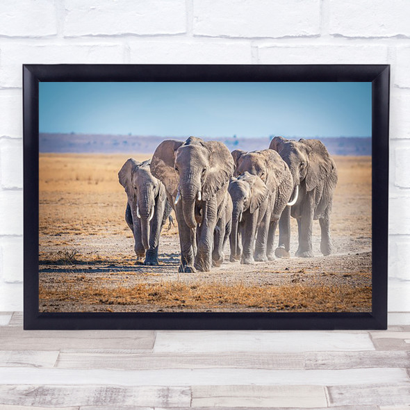 Elephant Flock Herd Group Family Wildlife Wild Nature Wall Art Print