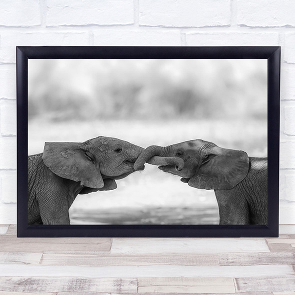 Elephant Wildlife Nature Animals Africa Safari Monochrome Cute Art Print