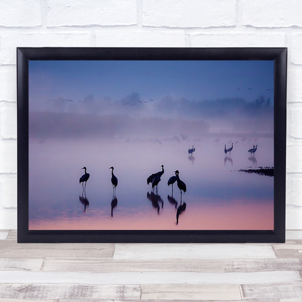 Enchanted Serenity Lake Cranes Israel Crane Birds Bird Pastel Colours Art Print