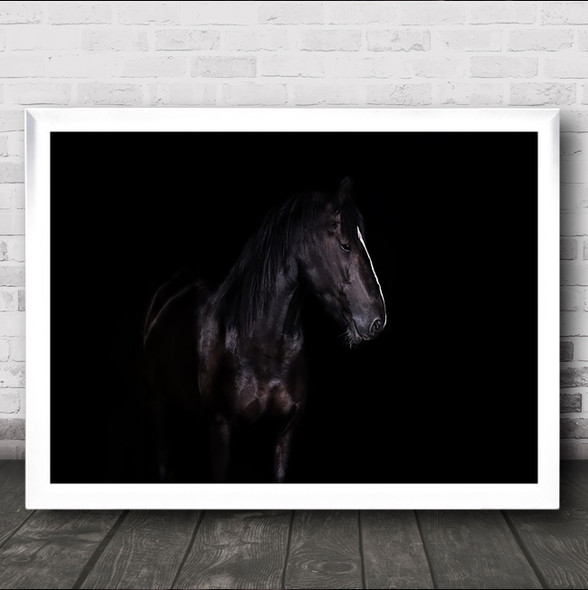 Erika Horse Animal Dark Wall Art Print