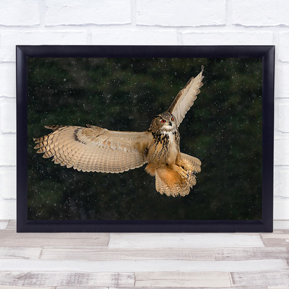 Eurasian Eagle Owl Snow Ontario Winter Canada Snowing Wall Art Print