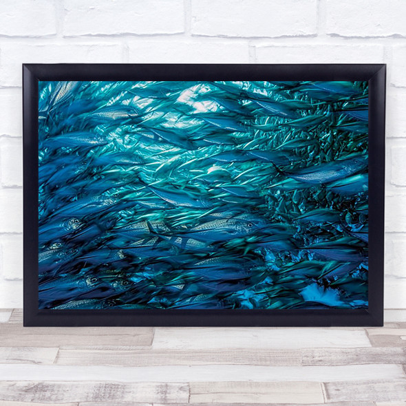 Fast Moving School Of Jacks Nature Wildlife Jackfish Jack Fish Wall Art Print