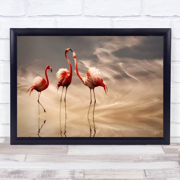 Fighting Nature Wildlife Sky Clouds Animal Bird Birds Flamingo Red Art Print