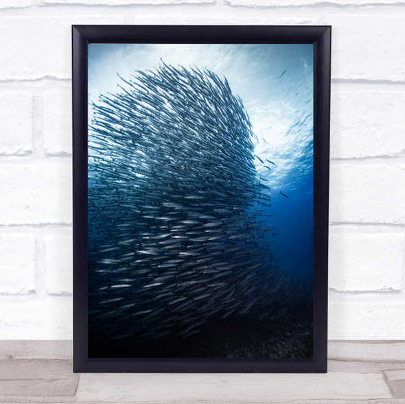 Fish Ocean Animal Wild Nature Underwater Schooling Wall Art Print