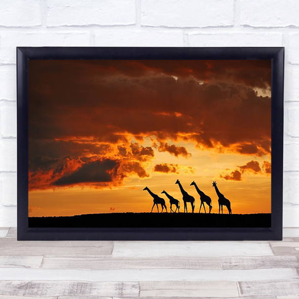 Five Giraffes Nature Animal Wildlife Sunset Sky Silhouette Orange Art Print