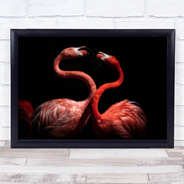 Flamingos Bird Flamingo Animal Red Dark Birds Wall Art Print