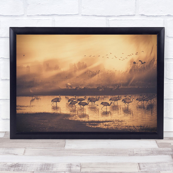 Geese Goose Canada Bird Wall Art Print