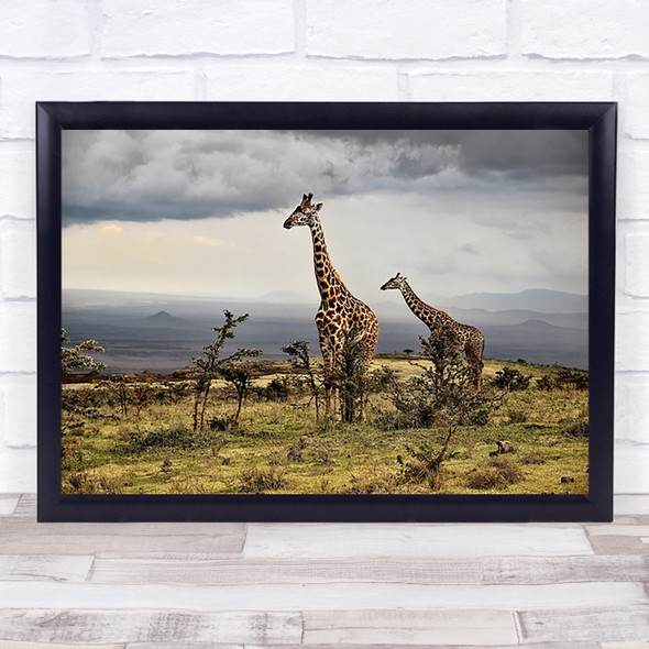 Giraffe Tanzania Ngorongoro Nature Giraffes Wildlife Animal Wall Art Print