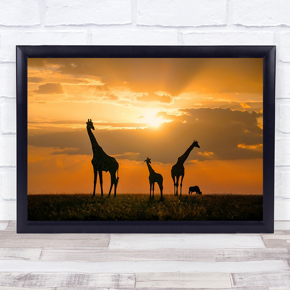 Golden Africa Giraffe Wildlife Animals Neck Silhouette Sunset Clouds Art Print