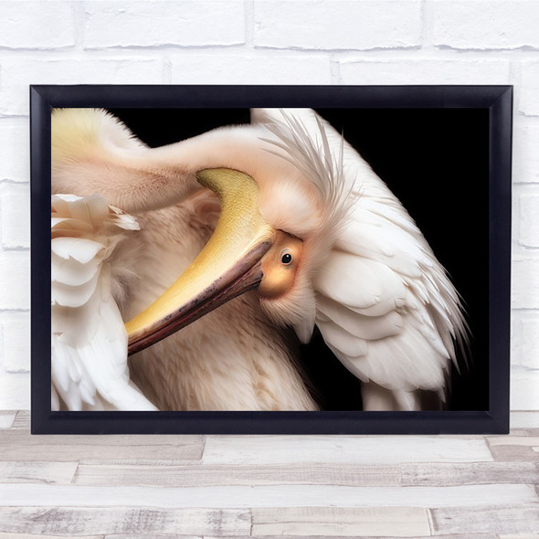 Gorgeous Pelican Animal Bird Pelicans White Wall Art Print