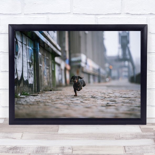 Hamburg Dogs Animals Dog Running Wall Art Print