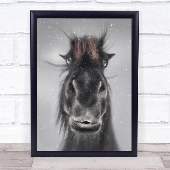 Hey Horse Animal Animals Winter Snow Snowing Cold Fun Funny Wall Art Print