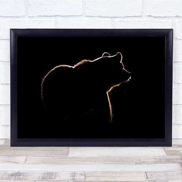 Highlight Bear Wildlife Outline Minimalism Backlight Wall Art Print