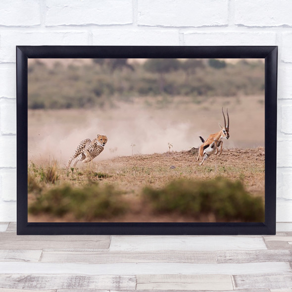 Hunt Hunting Hunter Chase Cheetah Feline Africa Safari Savannah Wall Art Print