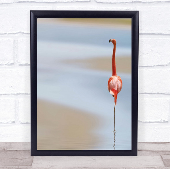 I Nature Flamingo Red Bird Animal Birds Water Wildlife Wild Wall Art Print