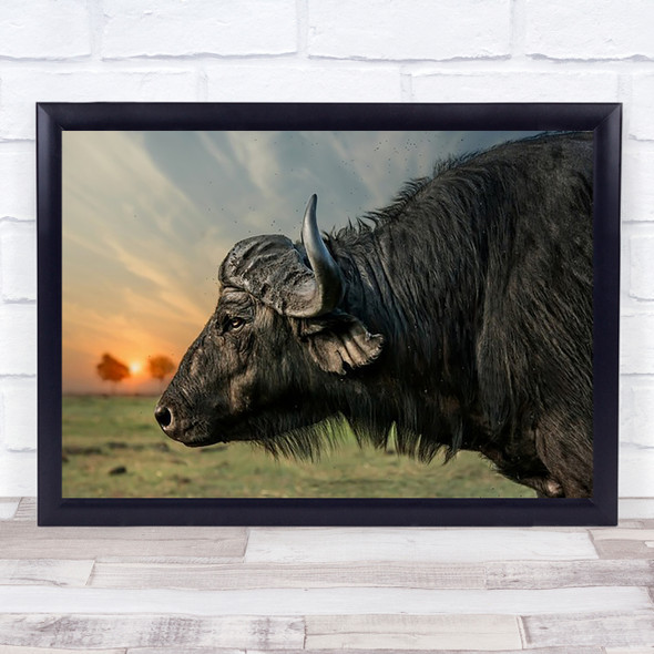 Imagine African Buffalo Wildlife Safari Africa Horn Eye Sky Botswana Art Print