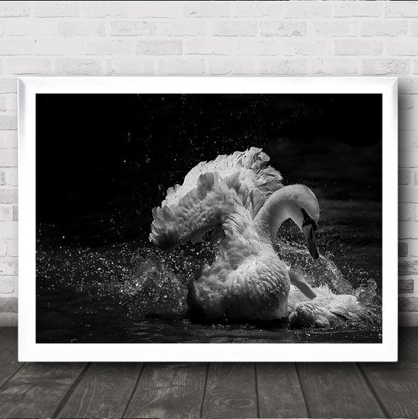 In Motion Wildlife Wild Swan Duck Beak Splash Water River Wall Art Print