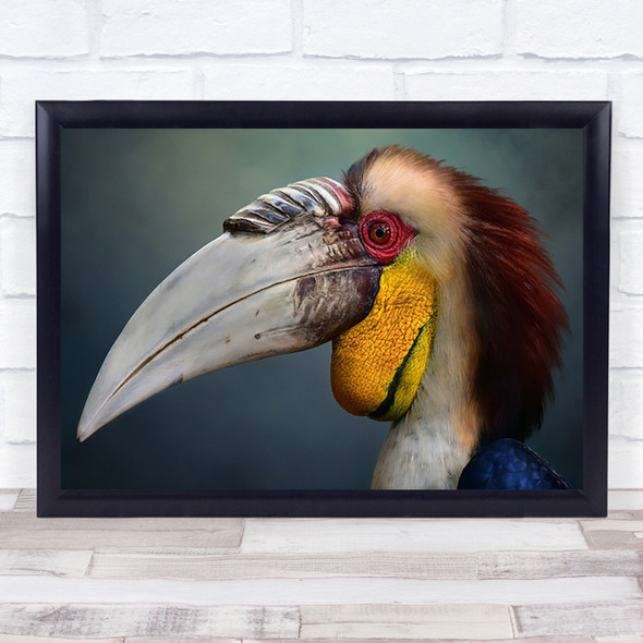 Jabrix Animal Bird Colourful Colourful Beak Wall Art Print