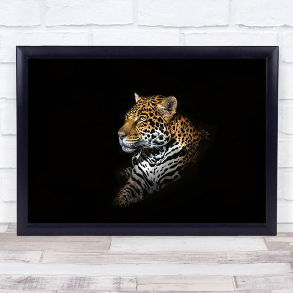 Jaguar Animal Feline Animals Dark Wall Art Print