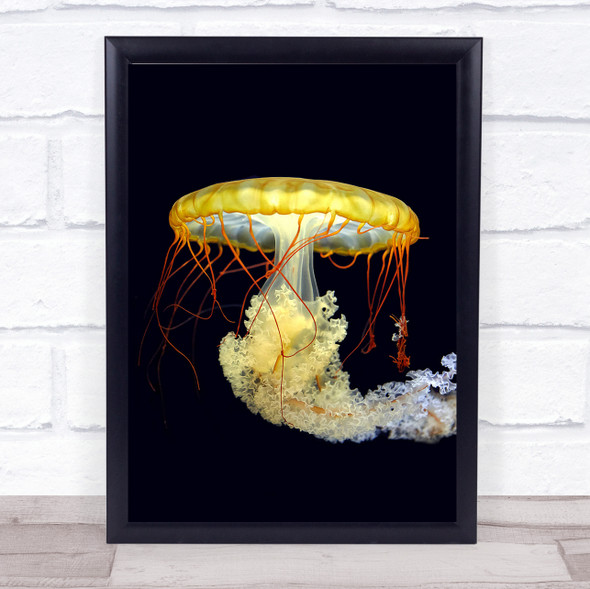 Jellyfish Medusa Underwater Wildlife Nature Animals Lamp Wall Art Print