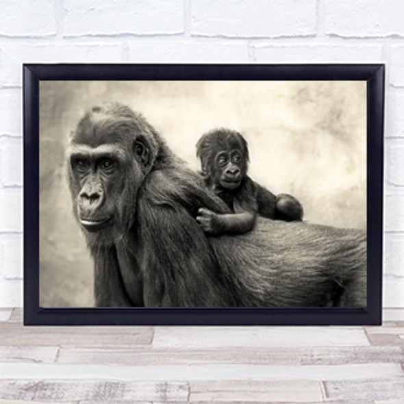 L I F E Gorillas Gorilla Baby Animal Cute Young Mother Protection Wall Art Print