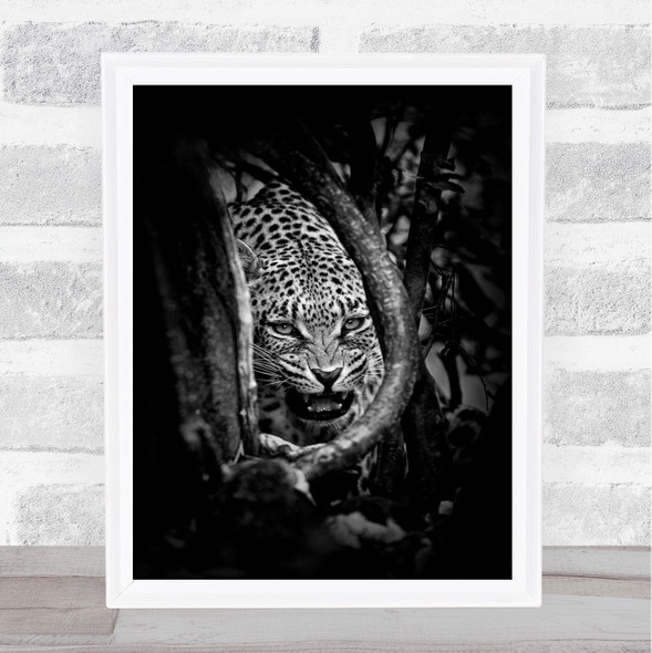 Leopard's Lair Leopard Africa Kruger Fangs Angry Fear Roar Cry Dark Art Print