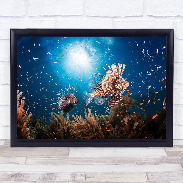 Lionfish Fish Underwater Sea Ocean Perspective Bottom Wall Art Print