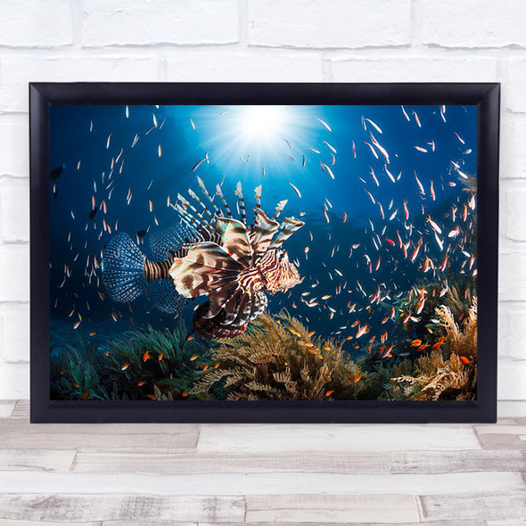 Lionfish Fish Underwater Sea Ocean Rascasse Pterois Sun Surface Wall Art Print