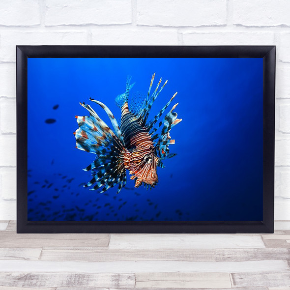 Lionfish Lion Fish Underwater Sea Deep Poison Poisonous Wall Art Print