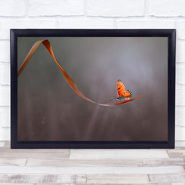 Lonely Butterfly Orange Wall Art Print