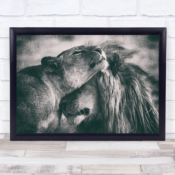 Love Feline Wildlife Wild Nature Animal Animals Lion Lioness Lions Art Print