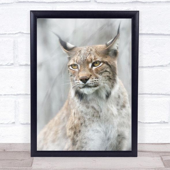 Lynx In The Fog Bobcat Feline Animal Animals Soft Wall Art Print