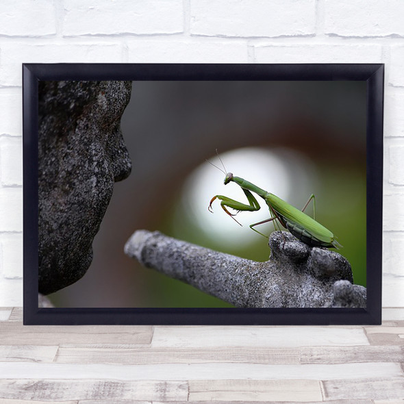 Mantis Garden Spain Calonge Girona Bokeh Flute Statue Sculpture Art Print