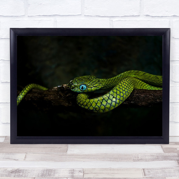 Meandering Snake Green Wildlife Wild Nature Animals Eye Dark Low Wall Art Print