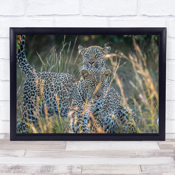 Mother Daughter Wildlife Wild Nature Animals Leopards Grass Africa Art Print