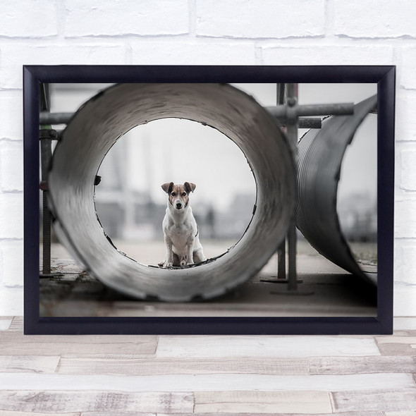 My Name Is Bond Dogs Hamburg Cityscape Animals Dog Germany Pet Wall Art Print