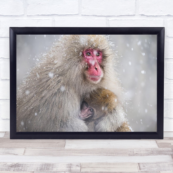 Nature Animal Monkey Ape Mother Child Love Couple Friendship Wall Art Print