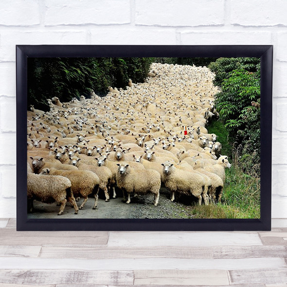 New Zealand Traffic Jam Sheep Mataura Balclutha Herd Flock Wall Art Print