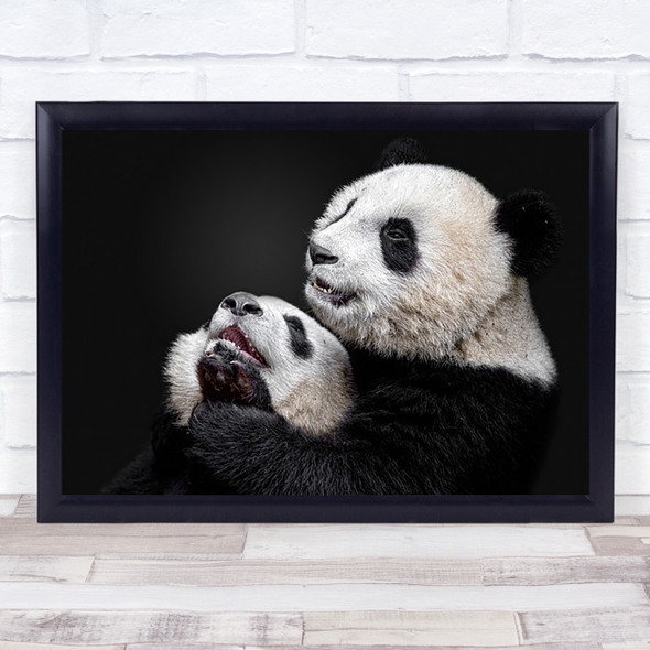 Pandas Panda Animal Animals Cute Fur Furry Wall Art Print