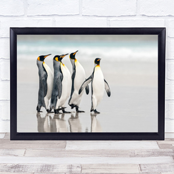 Parade King Penguin Penguins Pride Proud Wall Art Print