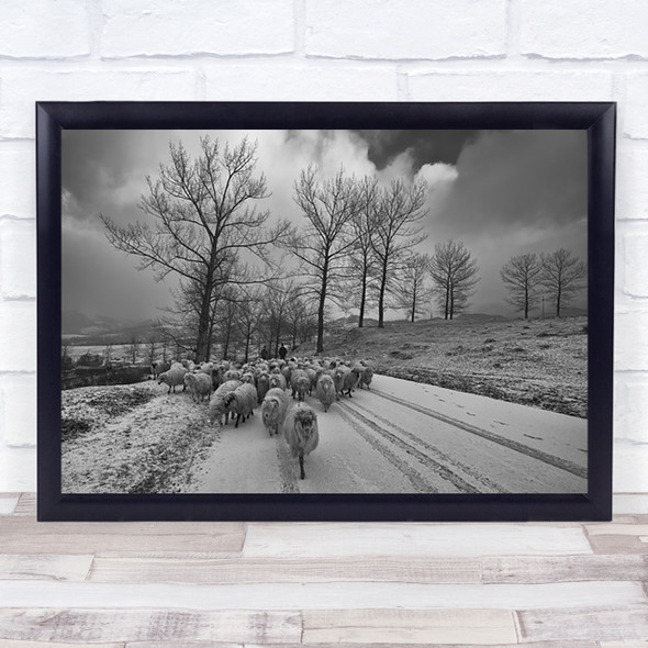 Pastoral Titesti Valcea Sheep Cattle Road Way Winter Snow Wall Art Print